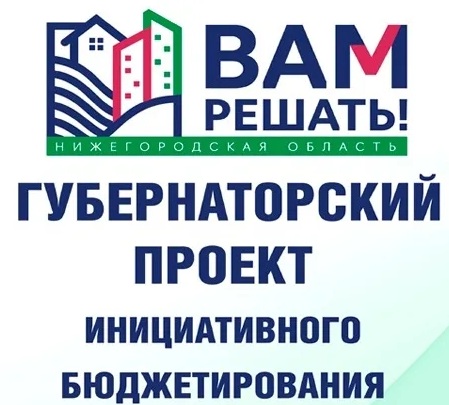 Проект вам решать нижегородская область