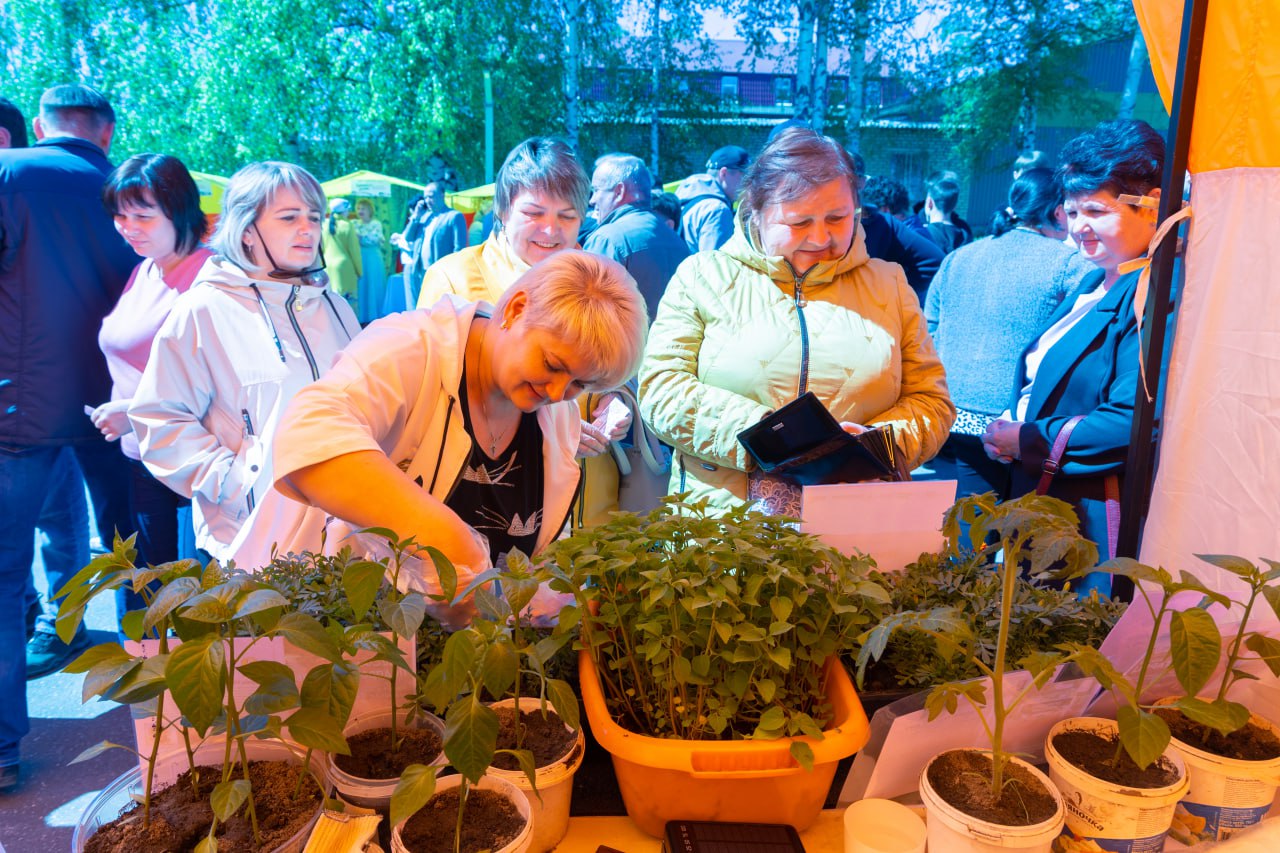 45 ярмарок «Покупайте нижегородское» пройдет в июне в регионе — Арзамасcкие  новости